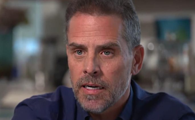 Watch: Lawyer Reveals Hunter Biden's 'Only Hope' - Freedom News USA